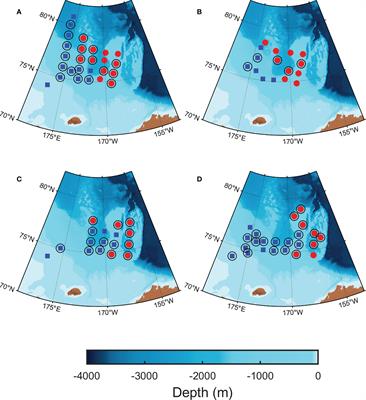 Phytoplankton photophysiology varies depending on nitrogen and light availability at the subsurface chlorophyll maximum in the northern Chukchi Sea